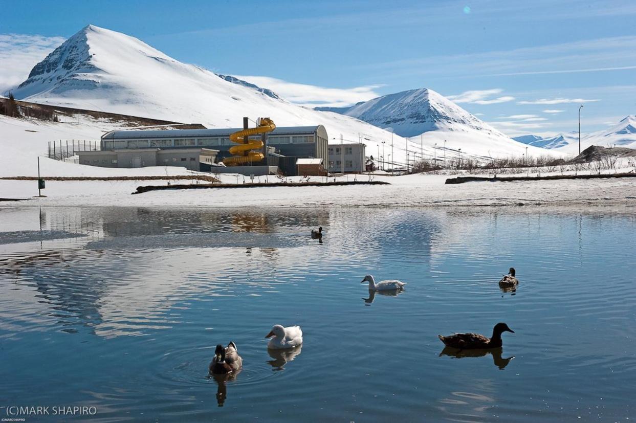 The Northern Comfort Inn Olafsfjordur Extérieur photo